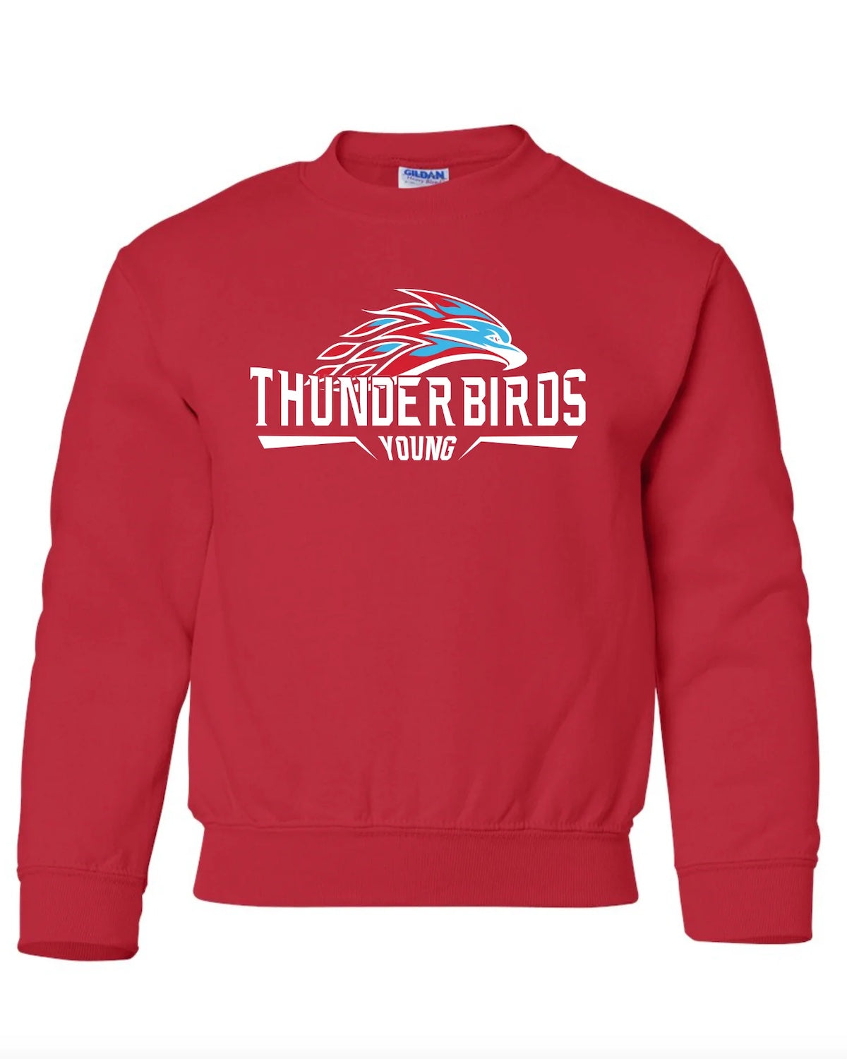 Youth Young Thunderbird Logo Sweatshirt