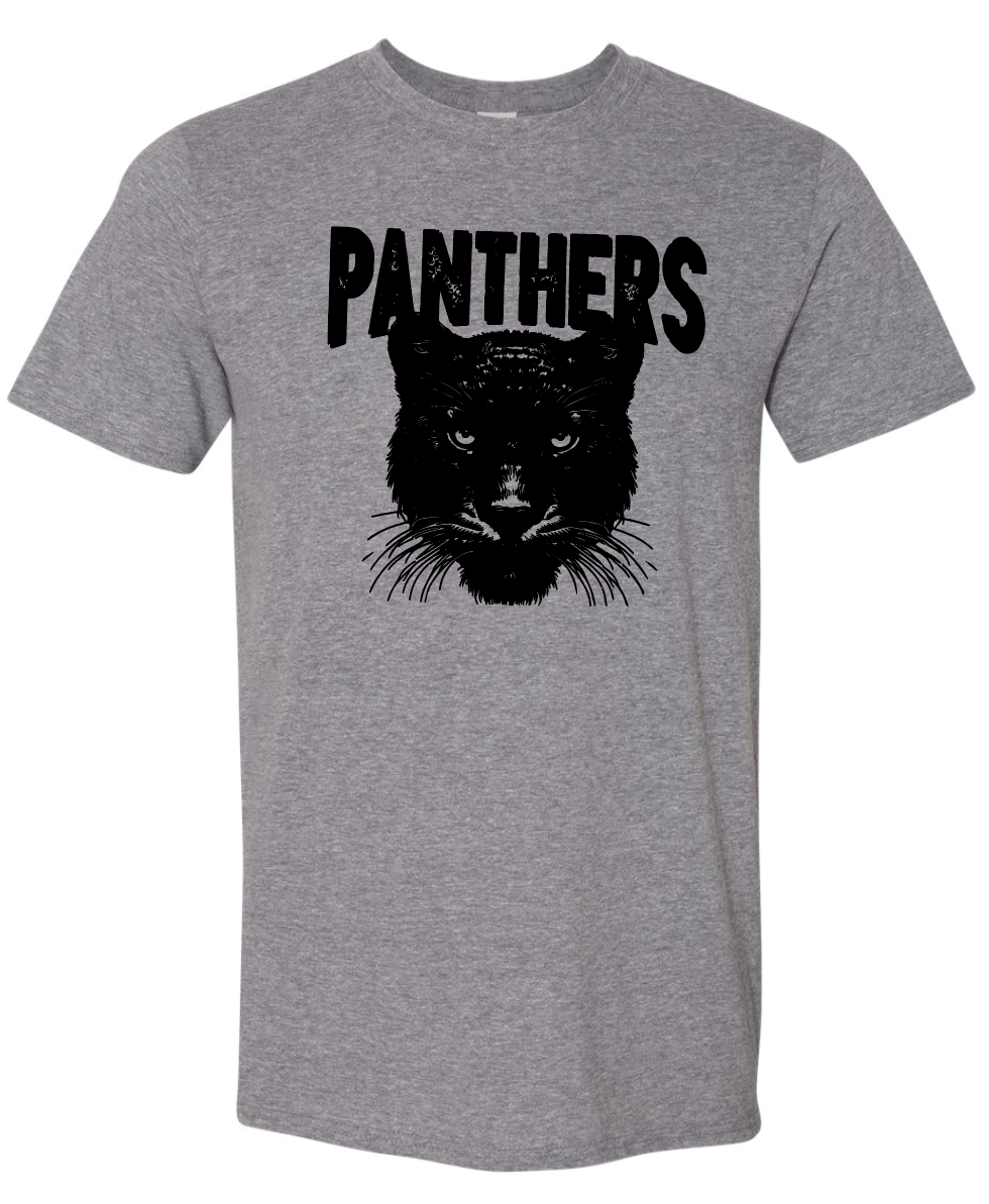 Panthers Gildan Softstyle T-Shirt