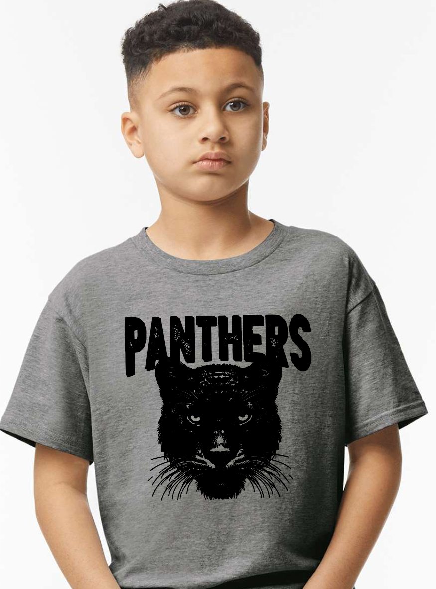 Panthers Gildan Softstyle T-Shirt