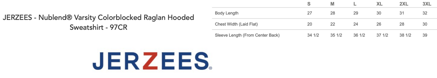 Touchdown Club Varsity Colorblocked Hooded Sweatshirt