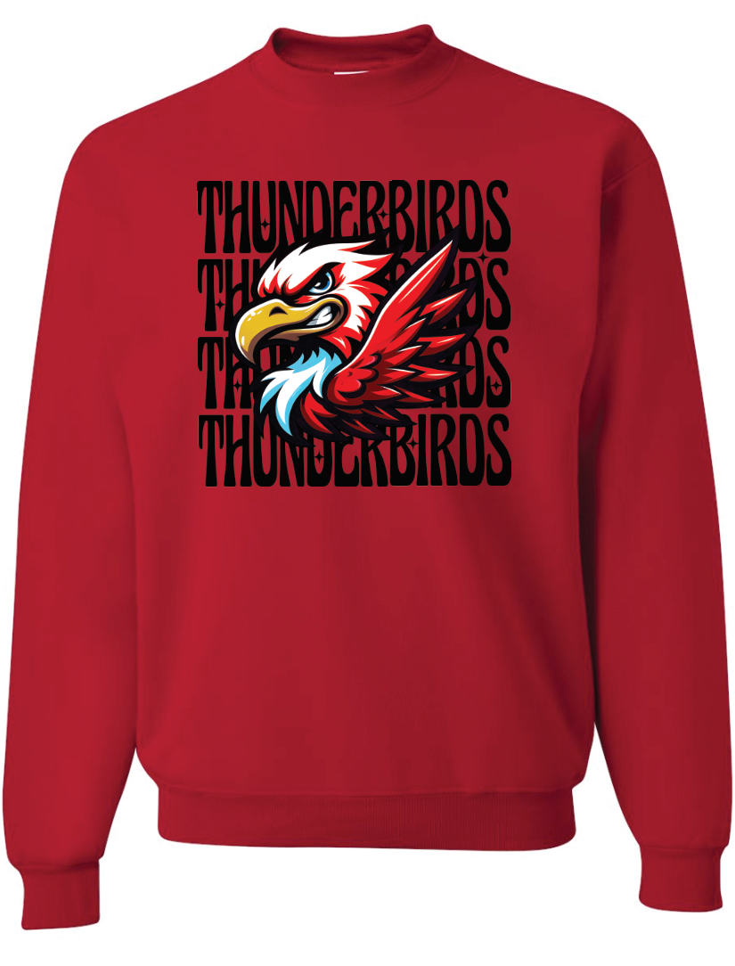 *NEW* Thunderbird Mascot Sweatshirt