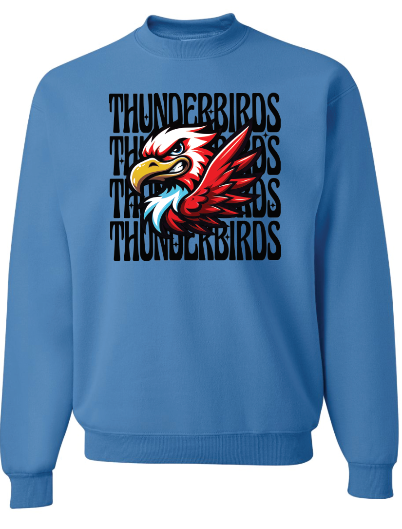 *NEW* Thunderbird Mascot Sweatshirt