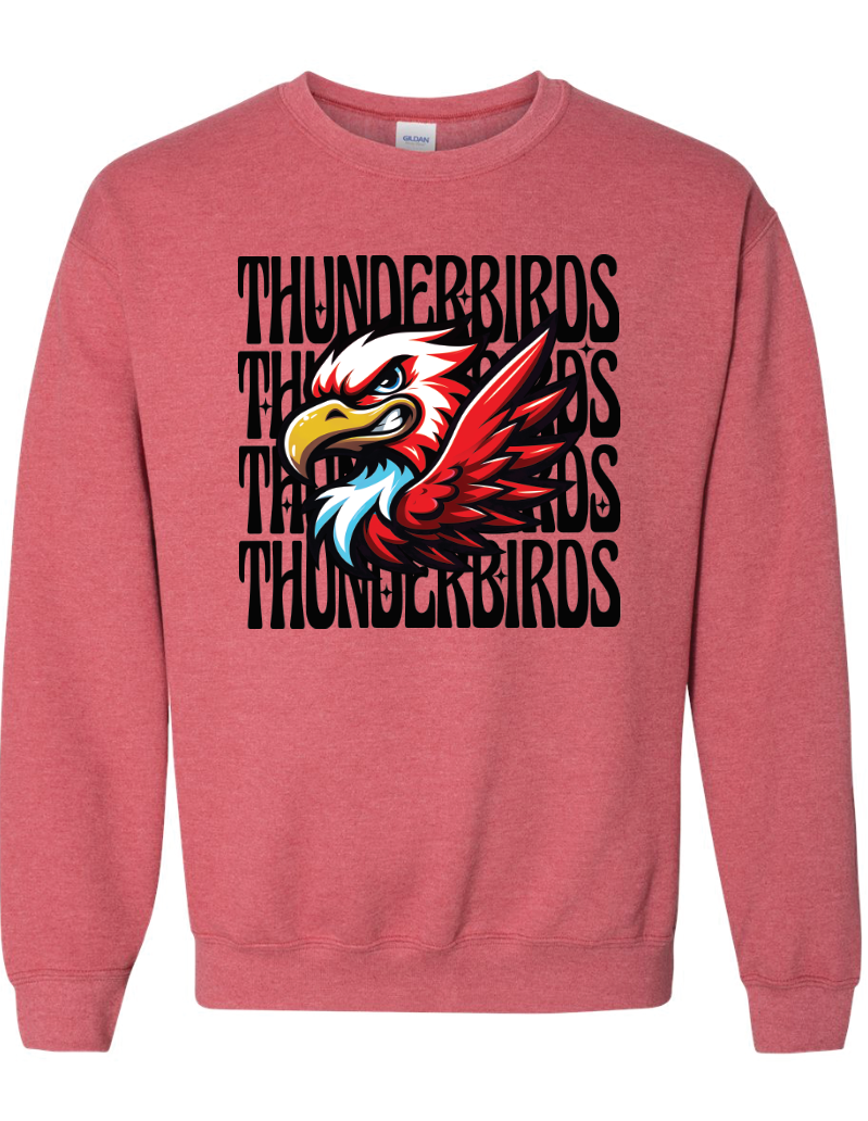 *NEW* Thunderbird Mascot Sweatshirt