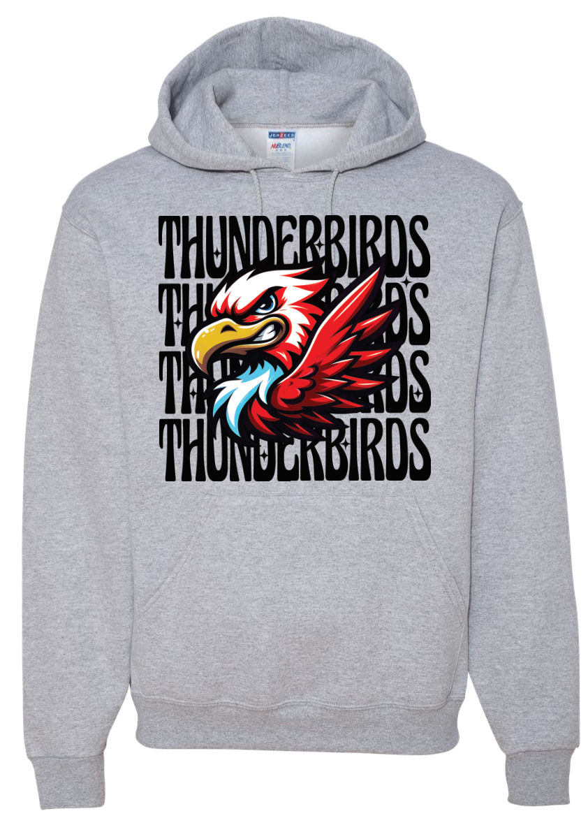 *NEW* Thunderbird Mascot Sweatshirt