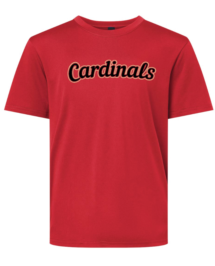 Cardinals Baseball 2025 All Pro Performance Shirt