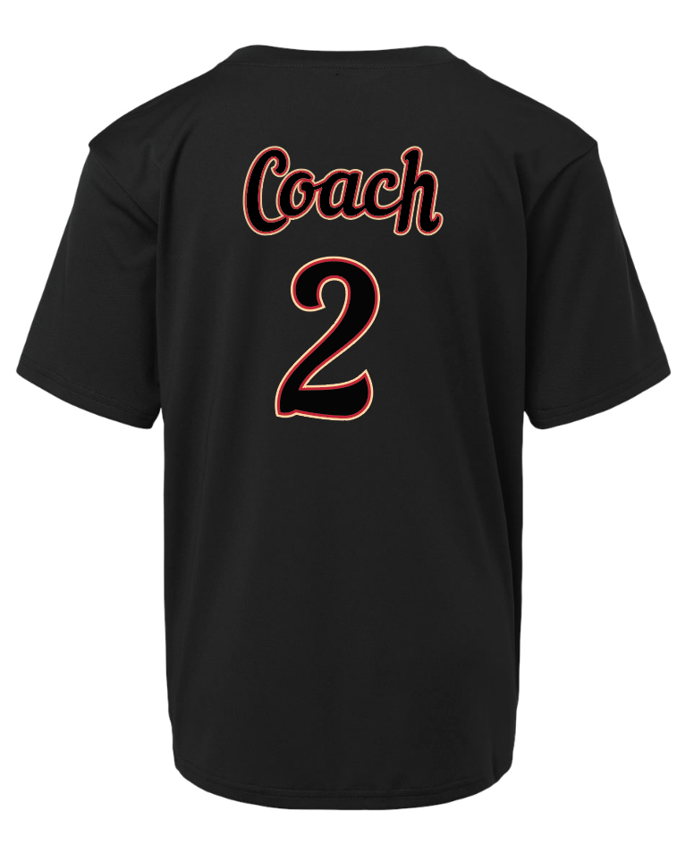 Cardinals Baseball Premium Hoodie