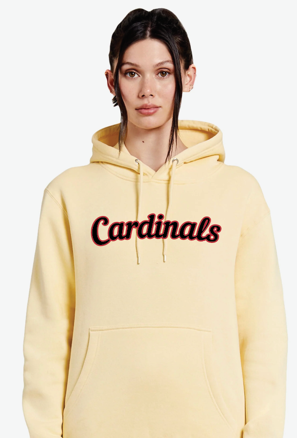 Cardinals Baseball Premium Hoodie