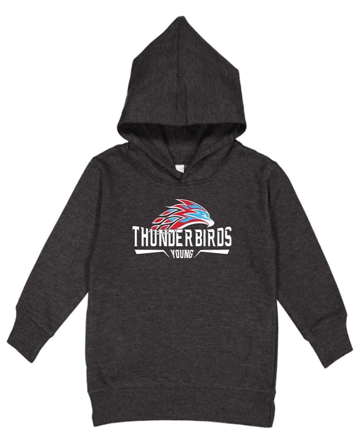 Toddler Logo Pullover Fleece Hoodie