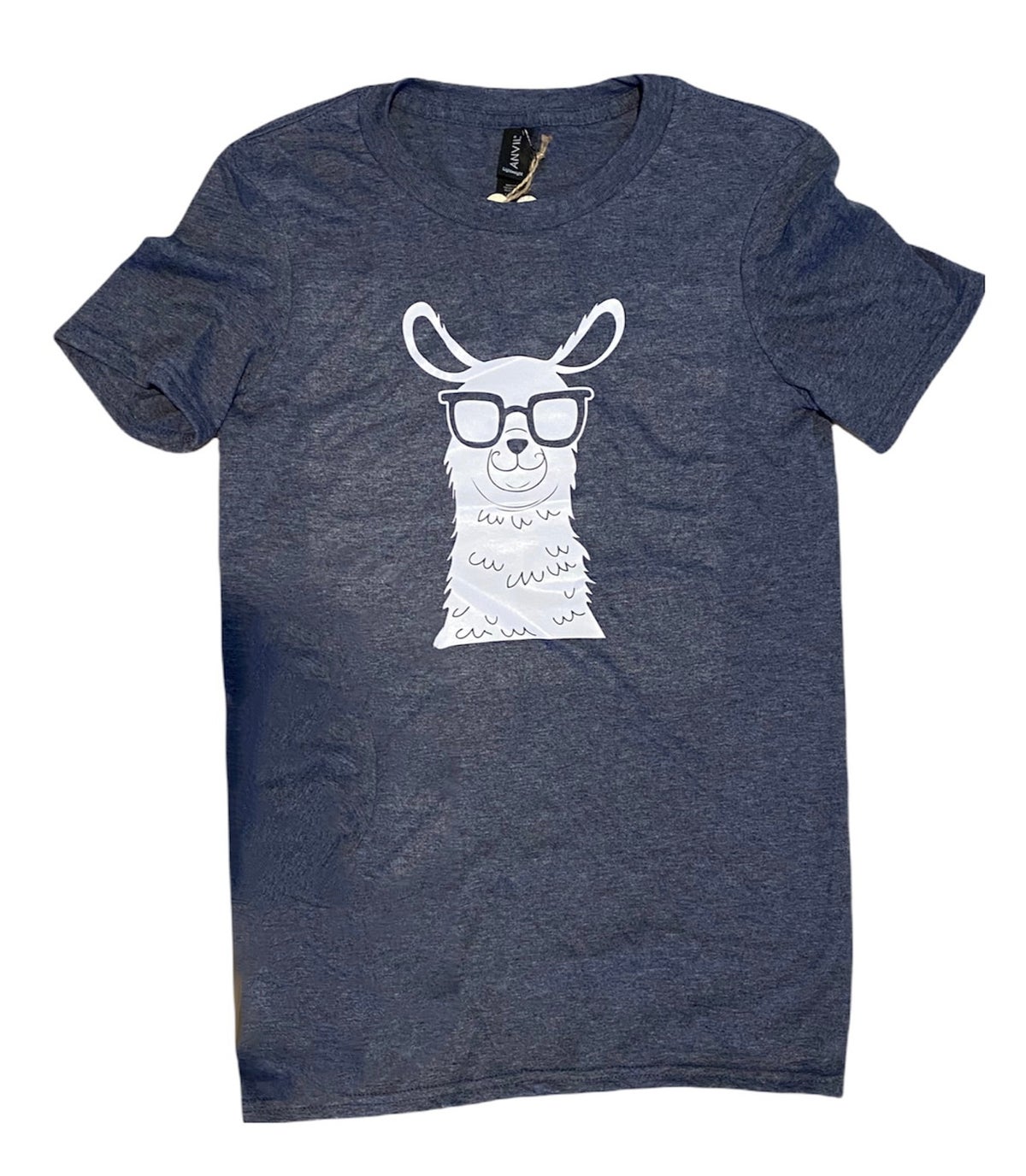 Llama with glasses