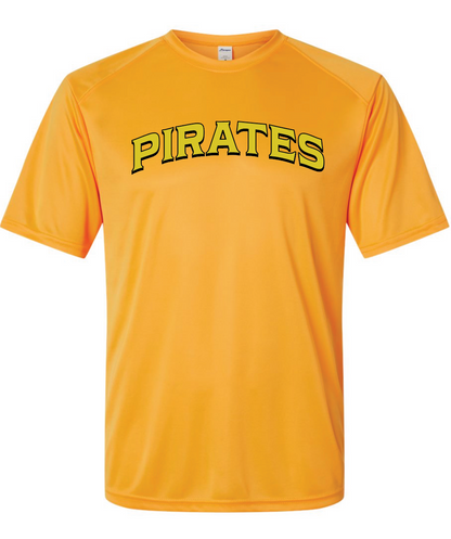 Pirates Baseball Paragon Performance T-shirt