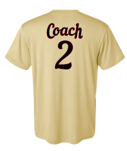 Cardinals Baseball 2025 Gildan Softstyle