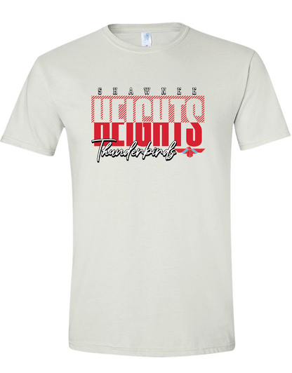 Thunderbirds at Berryton