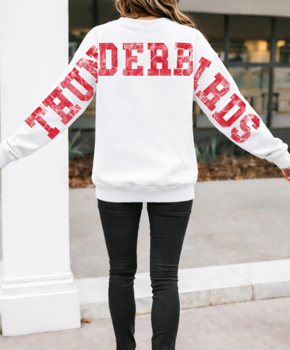Vintage Thunderbirds with Large Varsity Back Letters