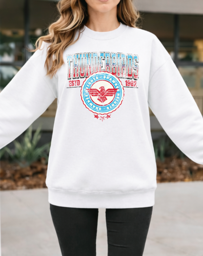 Vintage Thunderbirds with Large Varsity Back Letters