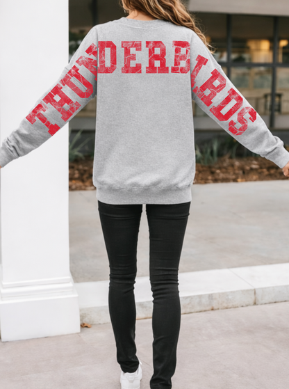 Vintage Thunderbirds with Large Varsity Back Letters