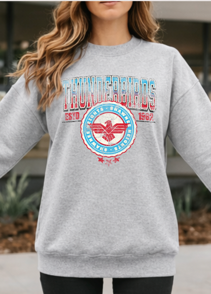 Vintage Thunderbirds with Large Varsity Back Letters