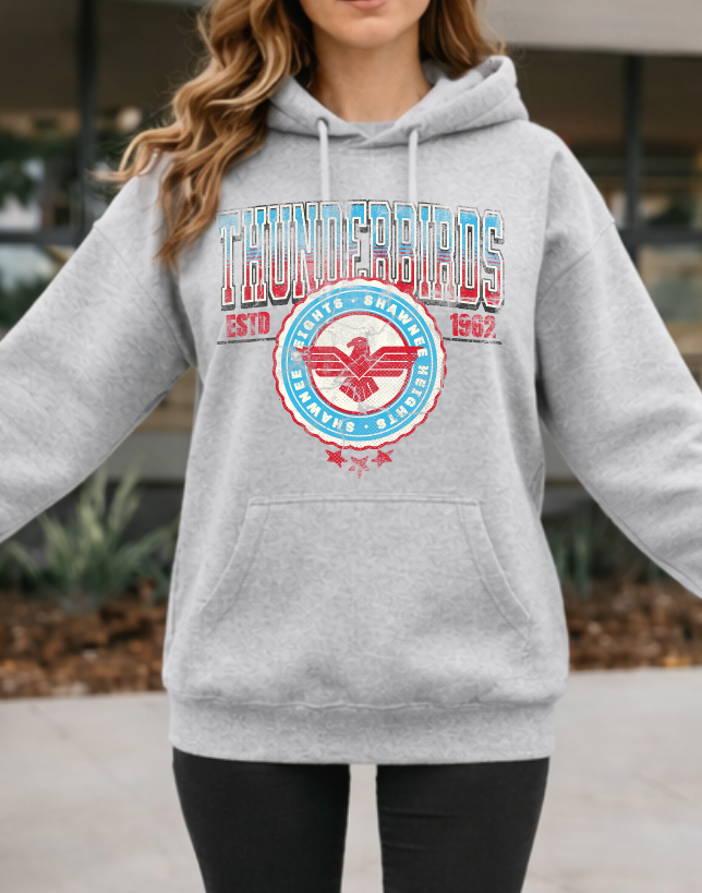 Vintage Thunderbirds with Large Varsity Back Letters