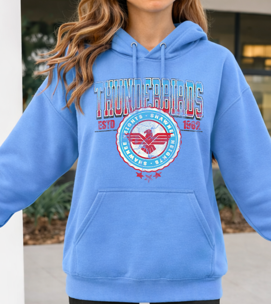 Vintage Thunderbirds with Large Varsity Back Letters