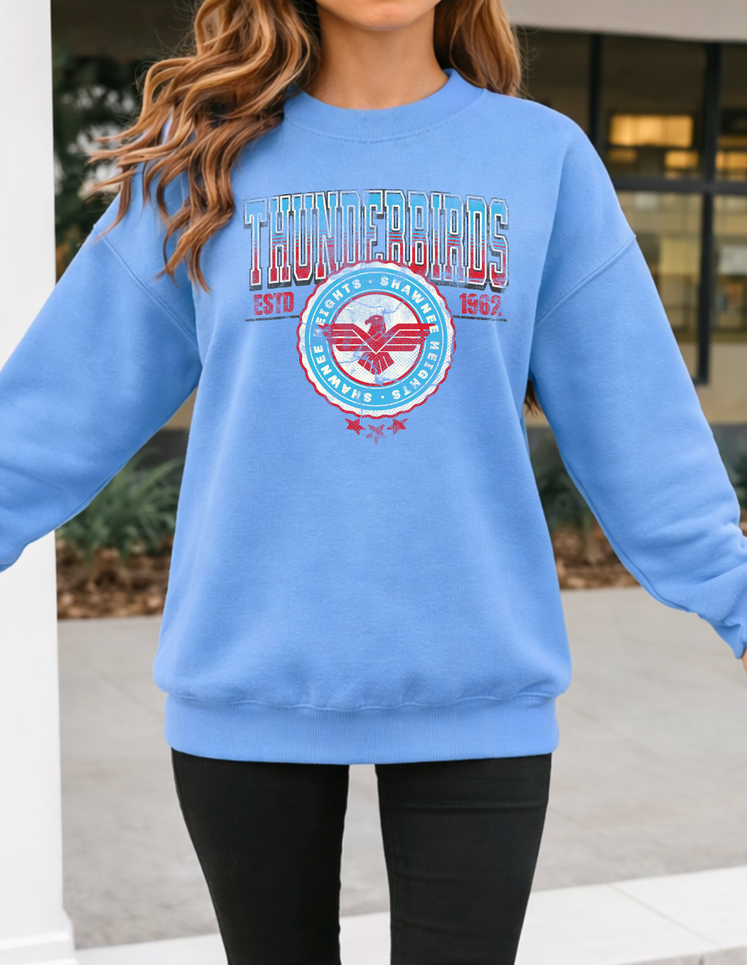 Vintage Thunderbirds with Large Varsity Back Letters